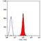 Glycophorin A (MNS Blood Group) antibody, GTX76243, GeneTex, Flow Cytometry image 