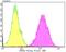 STIP1 Homology And U-Box Containing Protein 1 antibody, NBP2-75440, Novus Biologicals, Flow Cytometry image 