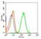 Lymphocyte antigen 6A-2/6E-1 antibody, orb9766, Biorbyt, Flow Cytometry image 