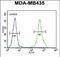 Zinc Finger E-Box Binding Homeobox 2 antibody, PA5-71628, Invitrogen Antibodies, Flow Cytometry image 