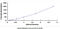 Actin Alpha 1, Skeletal Muscle antibody, MBS2021119, MyBioSource, Enzyme Linked Immunosorbent Assay image 