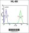 MICAL Like 2 antibody, 61-703, ProSci, Flow Cytometry image 