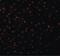 Caspase-12 antibody, PA5-19963, Invitrogen Antibodies, Immunofluorescence image 