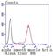 Actin Alpha 2, Smooth Muscle antibody, NBP2-67440, Novus Biologicals, Flow Cytometry image 