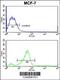 Charged Multivesicular Body Protein 4B antibody, 63-990, ProSci, Flow Cytometry image 