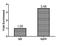 Argonaute RISC Catalytic Component 2 antibody, LS-C372287, Lifespan Biosciences, Chromatin Immunoprecipitation image 