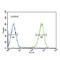 Dihydrolipoamide S-Acetyltransferase antibody, abx032483, Abbexa, Flow Cytometry image 