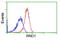 Rho-related GTP-binding protein Rho6 antibody, GTX83708, GeneTex, Flow Cytometry image 