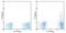 C-C Motif Chemokine Receptor 5 (Gene/Pseudogene) antibody, 12-1957-41, Invitrogen Antibodies, Flow Cytometry image 