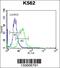 Membrane Palmitoylated Protein 3 antibody, 56-830, ProSci, Immunofluorescence image 