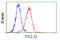 Tubulin Tyrosine Ligase Like 12 antibody, GTX83473, GeneTex, Flow Cytometry image 