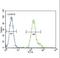 CCAAT Enhancer Binding Protein Alpha antibody, LS-C168648, Lifespan Biosciences, Flow Cytometry image 