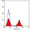 CD5 Molecule antibody, GTX74905, GeneTex, Flow Cytometry image 