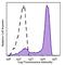 ERK1/2 Phospho (Thr202/Tyr204) antibody, 369521, BioLegend, Flow Cytometry image 