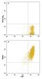 Tetraspanin 2 antibody, MAB7876, R&D Systems, Flow Cytometry image 