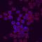 C-X-C Motif Chemokine Ligand 9 antibody, MA5-23746, Invitrogen Antibodies, Immunocytochemistry image 