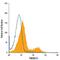 Transmembrane Protein 87A antibody, MAB7966, R&D Systems, Flow Cytometry image 