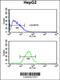 WD Repeat Domain 43 antibody, 61-948, ProSci, Flow Cytometry image 