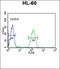 Protein Phosphatase 2 Regulatory Subunit B'Alpha antibody, orb312600, Biorbyt, Flow Cytometry image 