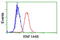 Ring Finger Protein 144B antibody, GTX83704, GeneTex, Flow Cytometry image 