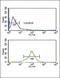 Glutamic-Oxaloacetic Transaminase 1 antibody, PA5-24634, Invitrogen Antibodies, Flow Cytometry image 