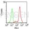 CD11C antibody, 691561, Progen Biotechnik GmbH, Flow Cytometry image 