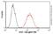 Fatty acid desaturase antibody, ab19862, Abcam, Flow Cytometry image 