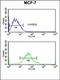 Nuclear Factor Kappa B Subunit 2 antibody, orb312393, Biorbyt, Flow Cytometry image 