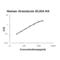 Granulysin antibody, FEK1280, Boster Biological Technology, Enzyme Linked Immunosorbent Assay image 