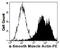Actin Alpha 2, Smooth Muscle antibody, GTX17501, GeneTex, Flow Cytometry image 