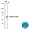 Fms Related Tyrosine Kinase 3 antibody, AF368, R&D Systems, Western Blot image 