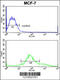 Zyg-11 Family Member A, Cell Cycle Regulator antibody, 63-584, ProSci, Flow Cytometry image 