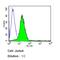 CD5 Molecule antibody, MA5-13308, Invitrogen Antibodies, Flow Cytometry image 