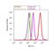 JunB Proto-Oncogene, AP-1 Transcription Factor Subunit antibody, PA1-835, Invitrogen Antibodies, Flow Cytometry image 