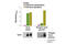 TYRO3 Protein Tyrosine Kinase antibody, 39412C, Cell Signaling Technology, Enzyme Linked Immunosorbent Assay image 