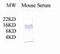 Complement C3 antibody, PA1-30601, Invitrogen Antibodies, Western Blot image 
