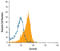 Survivin antibody, MAB886, R&D Systems, Flow Cytometry image 