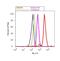 Ephrin A5 antibody, 38-0400, Invitrogen Antibodies, Flow Cytometry image 