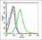 Iroquois Homeobox 1 antibody, orb157707, Biorbyt, Flow Cytometry image 