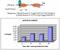 SWI/SNF Related, Matrix Associated, Actin Dependent Regulator Of Chromatin, Subfamily A, Member 5 antibody, ab3749, Abcam, Chromatin Immunoprecipitation image 