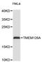 Transmembrane Protein 126A antibody, STJ114689, St John