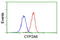 Cytochrome P450 Family 2 Subfamily A Member 6 antibody, LS-C173480, Lifespan Biosciences, Flow Cytometry image 