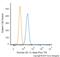 Baculoviral IAP Repeat Containing 5 antibody, NB500-238, Novus Biologicals, Flow Cytometry image 