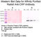 C-Reactive Protein antibody, CRP30A-R1a, Academy Bio-Med, Western Blot image 