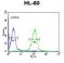 Major Histocompatibility Complex, Class II, DR Alpha antibody, LS-C164919, Lifespan Biosciences, Flow Cytometry image 