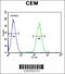STAM Binding Protein Like 1 antibody, 61-882, ProSci, Immunofluorescence image 
