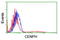 Centromere Protein H antibody, CF503872, Origene, Flow Cytometry image 