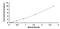 Lysyl Oxidase Like 2 antibody, MBS2018937, MyBioSource, Enzyme Linked Immunosorbent Assay image 