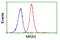 Muscle RAS Oncogene Homolog antibody, LS-C172952, Lifespan Biosciences, Flow Cytometry image 