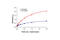 Checkpoint Kinase 2 antibody, 7037S, Cell Signaling Technology, Enzyme Linked Immunosorbent Assay image 